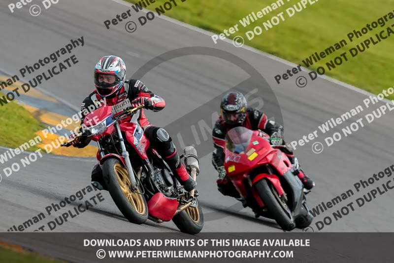 PJ Motorsport 2019;anglesey no limits trackday;anglesey photographs;anglesey trackday photographs;enduro digital images;event digital images;eventdigitalimages;no limits trackdays;peter wileman photography;racing digital images;trac mon;trackday digital images;trackday photos;ty croes